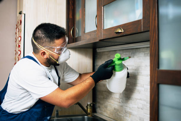 Professional Pest Control in Monroe, IA