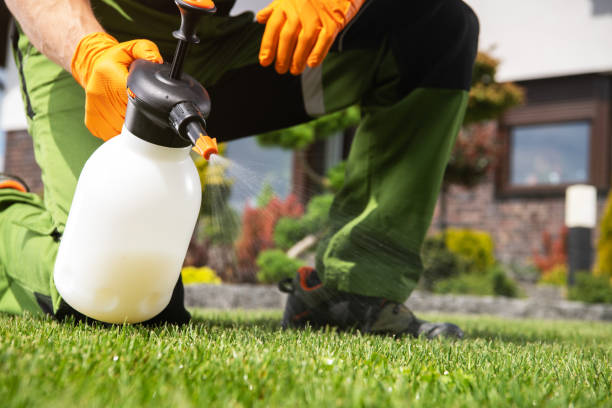 Best Pest Inspection Near Me  in Monroe, IA