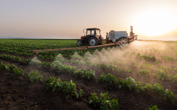 Best Affordable Exterminators  in Monroe, IA