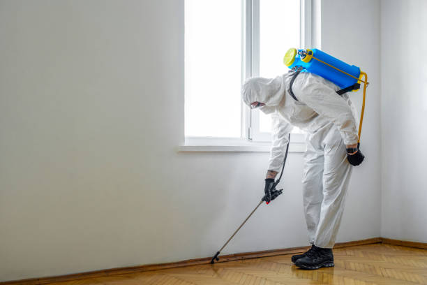 Best Flea Control Services  in Monroe, IA