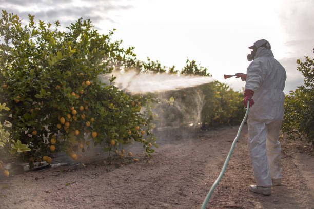 Best Insect Control  in Monroe, IA