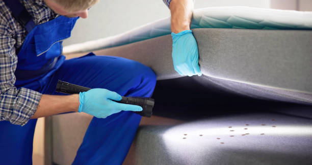 Best Affordable Pest Control Services  in Monroe, IA