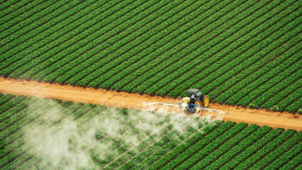 Best Ant Control Services  in Monroe, IA