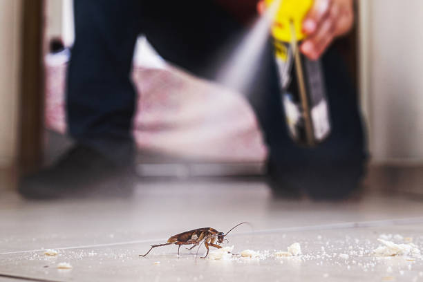 Best Wasp Removal Services  in Monroe, IA