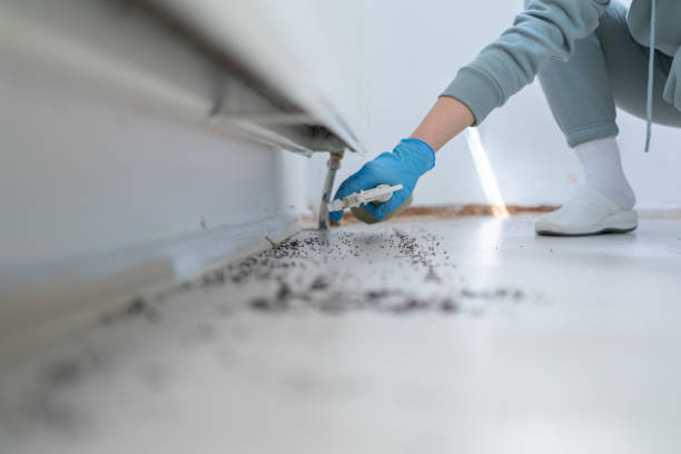 Best Rat Extermination Near Me  in Monroe, IA